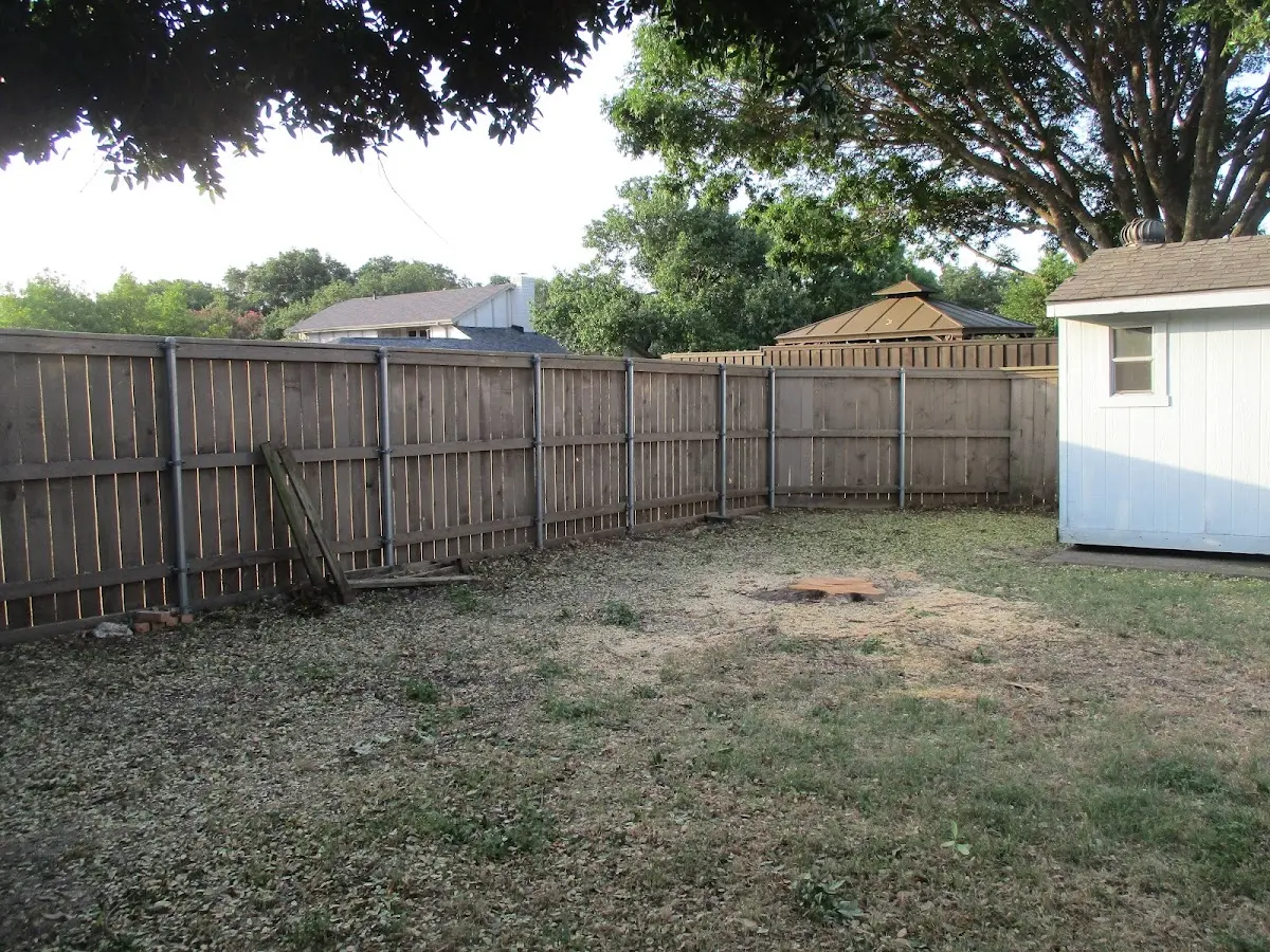 Cleared yard after professional tree removal in Lakeville